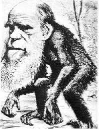 二十世纪最大谎言：进化论，已被科学推翻